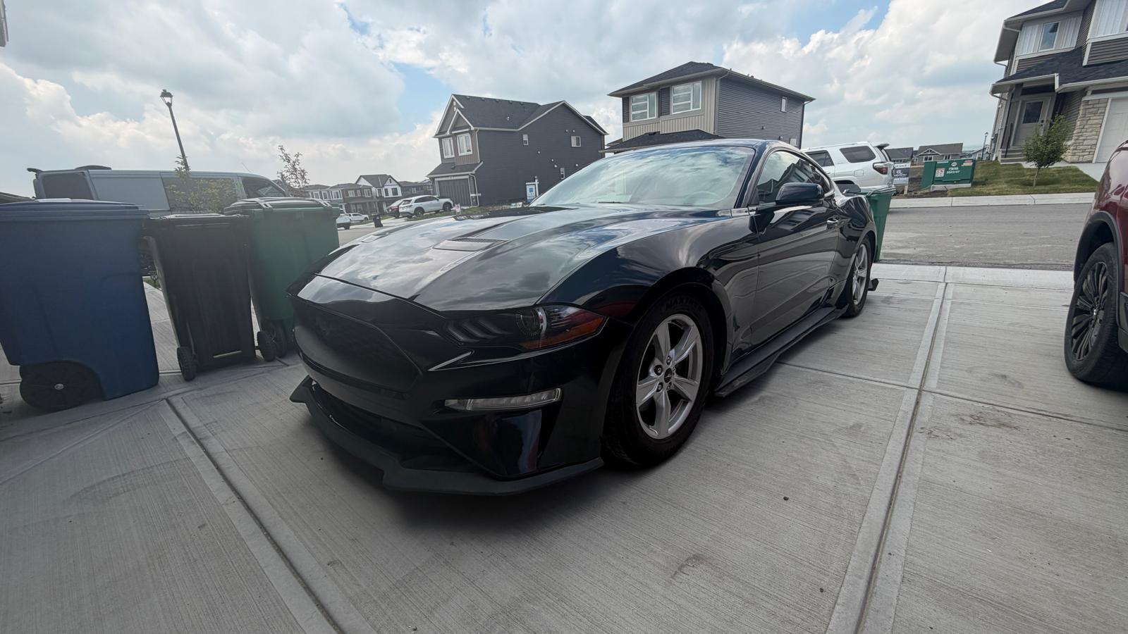 2019 mustang ecoboost premium