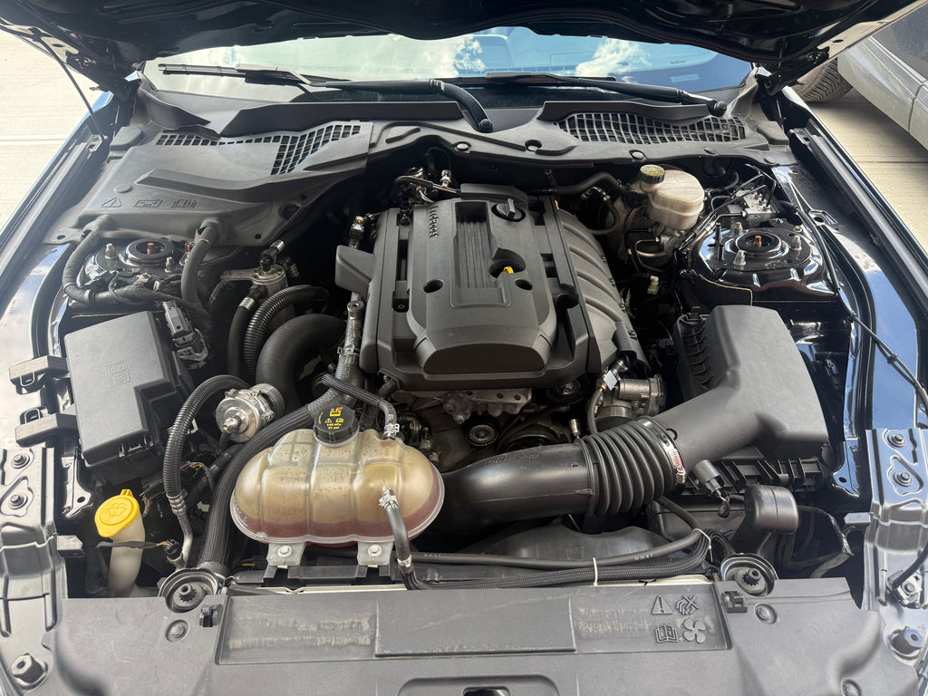 2019 mustang ecoboost premium