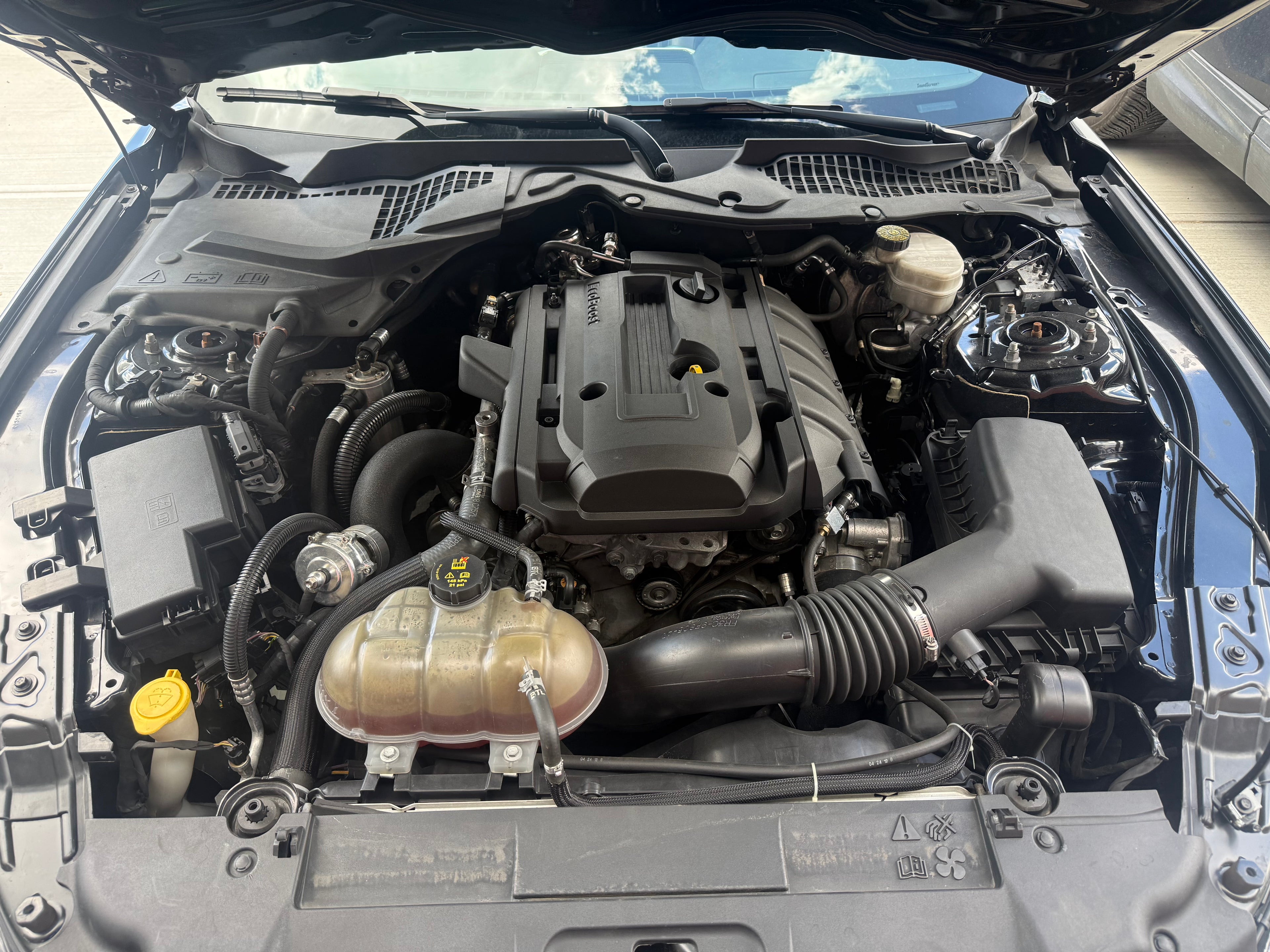 2019 mustang ecoboost premium