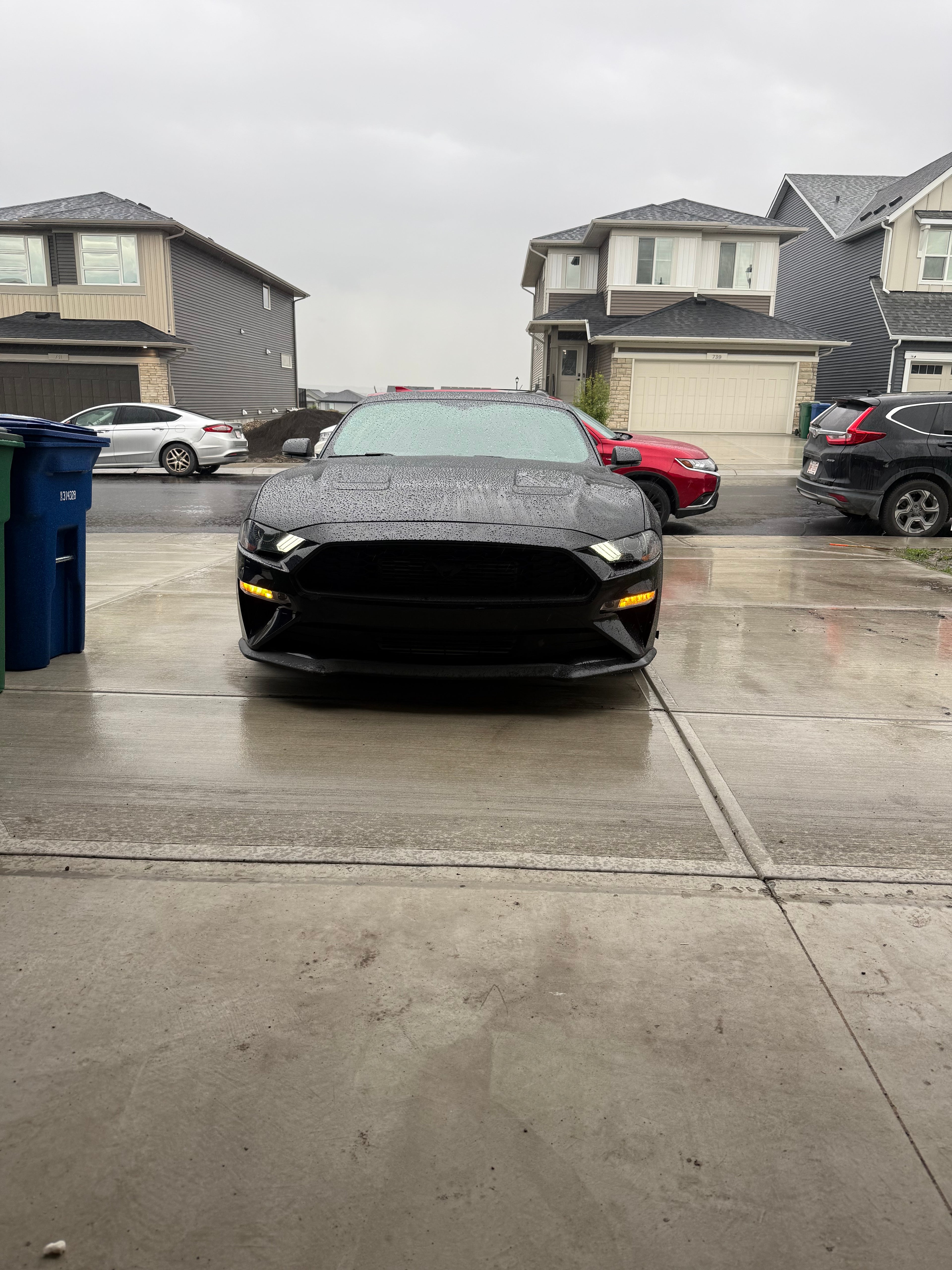 2019 mustang ecoboost premium