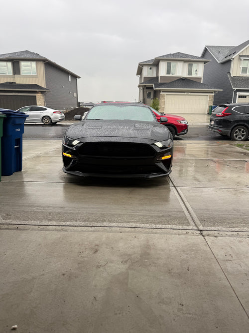 2019 mustang ecoboost premium