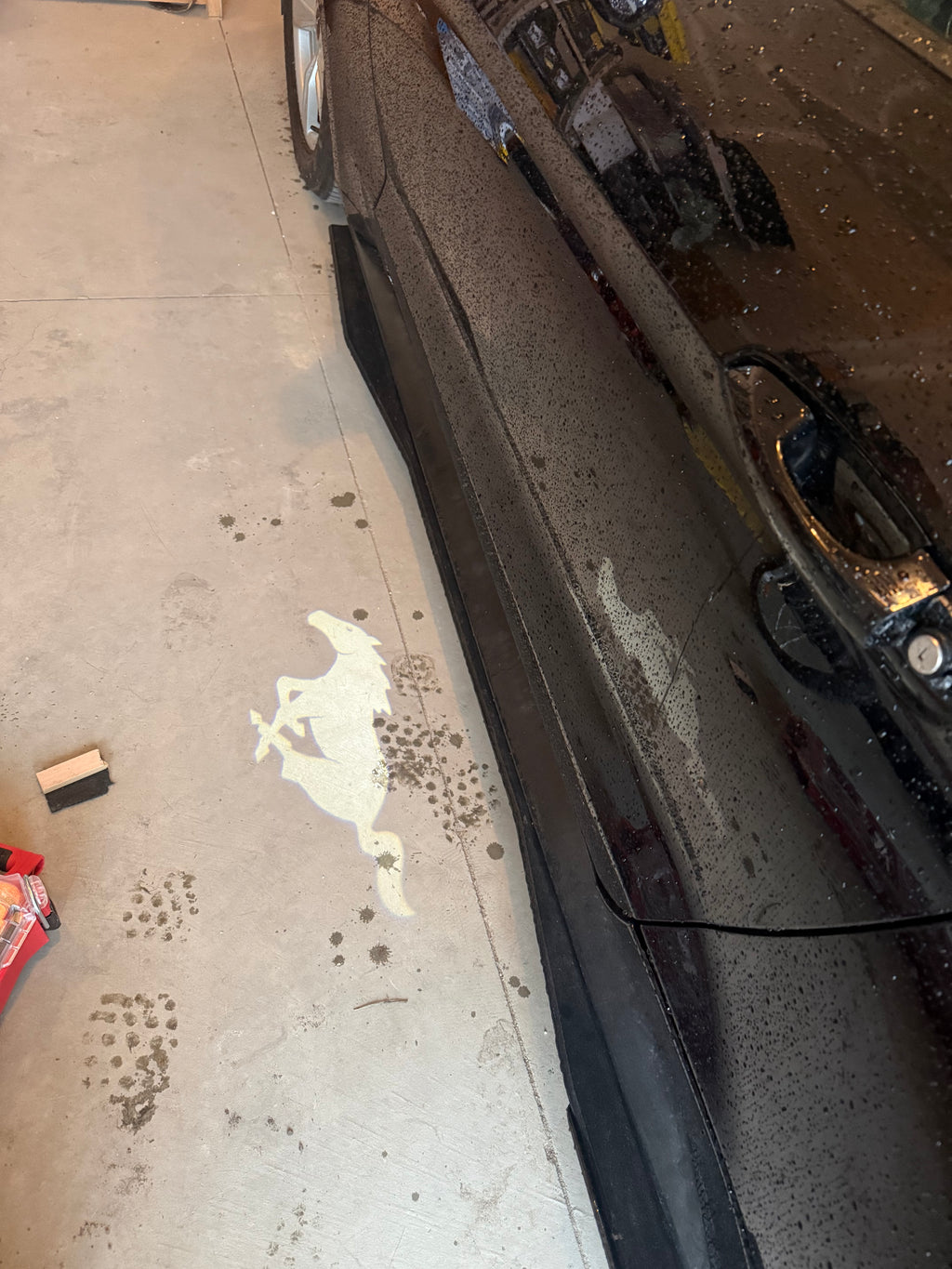 2019 mustang ecoboost premium