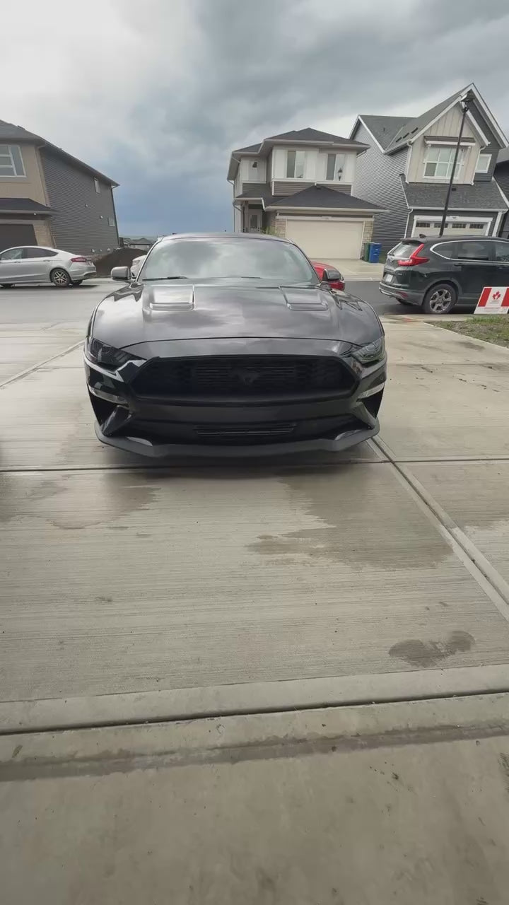 2019 mustang ecoboost premium